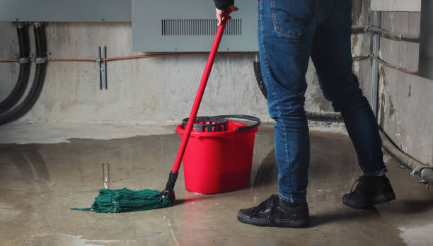 Best Residential water damage restoration  in Melissa, TX