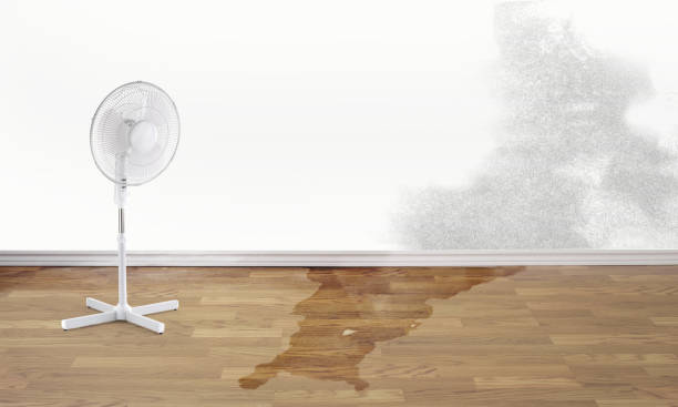 Best Local water damage restoration  in Melissa, TX