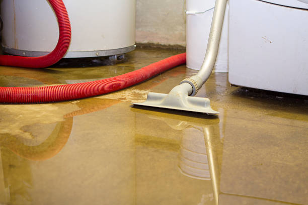 Best Flood damage cleanup  in Melissa, TX