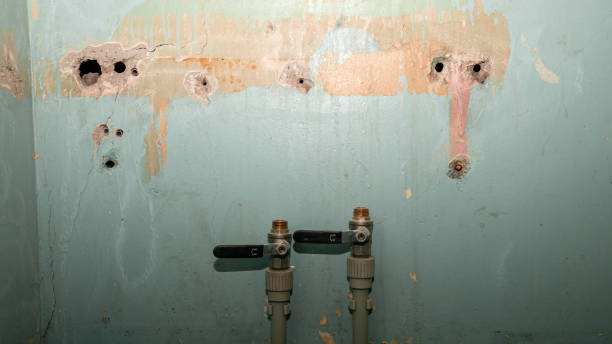 Best Water damage cleanup near me  in Melissa, TX