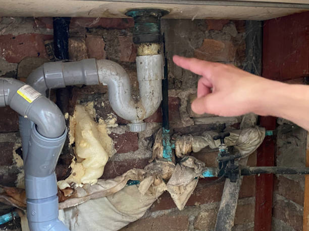 Best Water damage contractors near me  in Melissa, TX