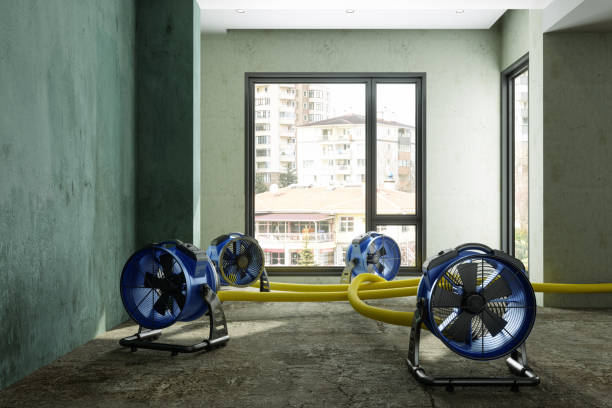 Fire Damage Restoration in Melissa, TX
