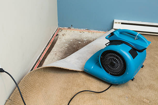 Best Emergency water damage restoration  in Melissa, TX